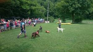 Mladi gasilci iz tolminske občine in beljaškega okrožja na mednarodnem taboru