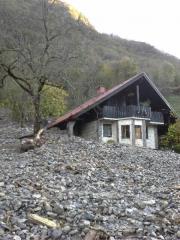 Neurje%20v%20Ba%B9ki%20grapi%20%283%29