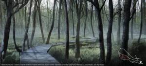 Babi%E8Pav%B9i%E8Rus_poplavnigozd