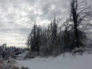 Posledice%20%BEledu%20Lom%2C%206.2.14