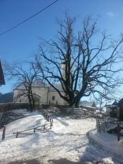 Posledice%20%BEledu%20Rut%2C%206.2.14%20%283%29