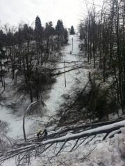 Posledice%20%BEledu%2C%206.2.14%20%282%29