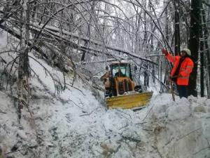 Posledice%20%BEledu%2C%203.2.14%20%28Niko%20Mihel%E8i%E8%29%20%283%29.j