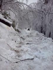 Posledice%20%BEledu%20G.%20Trebu%B9a%2C%204.%202.%2014%20%285%29