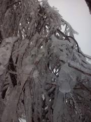 Posledice%20%BEledu%20G.%20Trebu%B9a%2C%204.%202.%2014%20%286%29