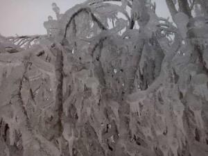 Posledice%20%BEledu%20Lom%2C%204.%202.%2014%20%281%29