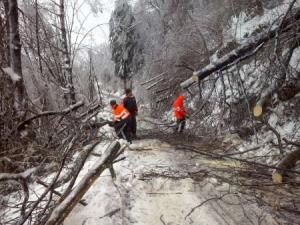 Posledice%20%BEledu%20Lom%2C%204.%202.%2014%20%285%29