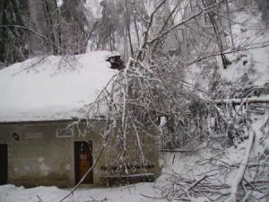 %AEled%20%A9entvi%B9ka%20planota%20%286%29