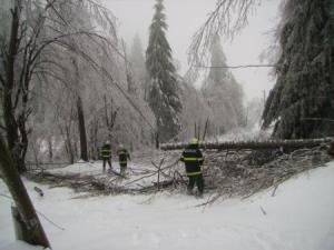 %AEled%20%A9entvi%B9ka%20planota%20%289%29