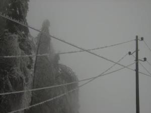 %AEled%20%A9entvi%B9ka%20planota%20%288%29